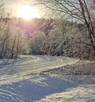 Vinter