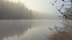Älvar