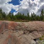 Barrskog